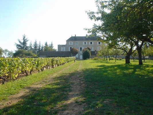 Domaine De La Folie